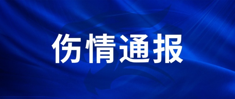 羅森文左腳距腓前韌帶撕裂，預(yù)計恢復(fù)時間約6-8周